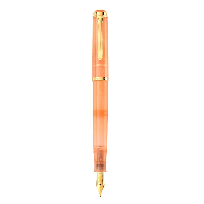 Pelikan Classic M 200 Fountain Pen